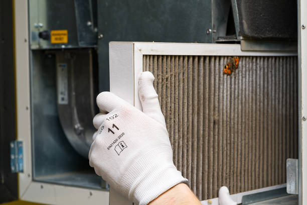 Best Affordable Duct Cleaning Services  in Ocala Estates, FL