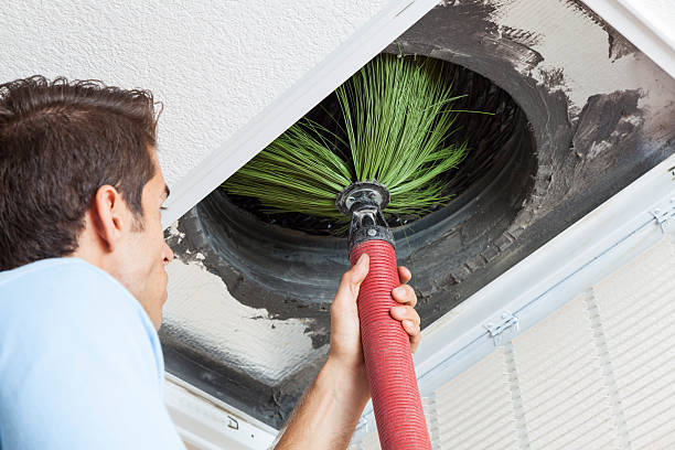 Best Dryer Vent Cleaning Services  in Ocala Estates, FL